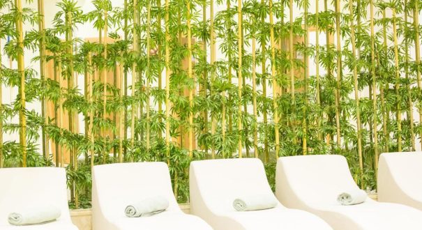 Club-Hotel-Falcon کلاب هتل فالکون (Club Hotel Falcon)
